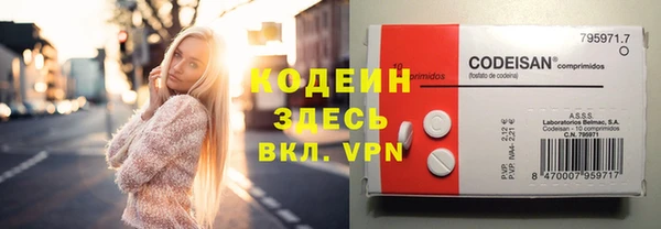 индика Балабаново