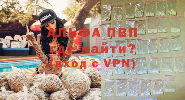 индика Балабаново