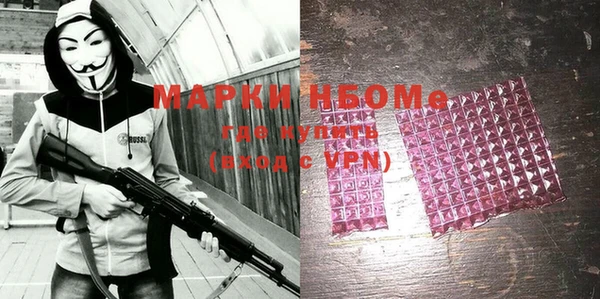 индика Балабаново