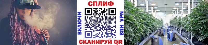 МЕГА зеркало  Александровское  Марихуана планчик 